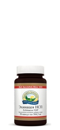 Эхинацея НСП